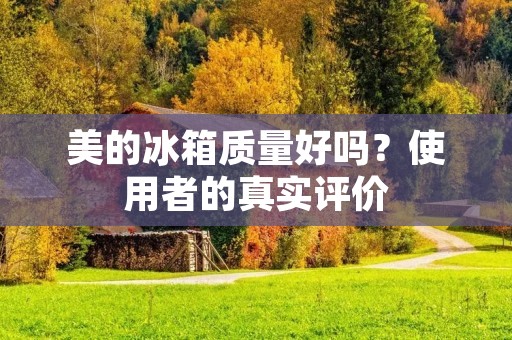 美的冰箱质量好吗？使用者的真实评价