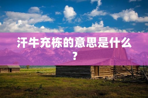 汗牛充栋的意思是什么? 汗牛充栋的意思是什么?