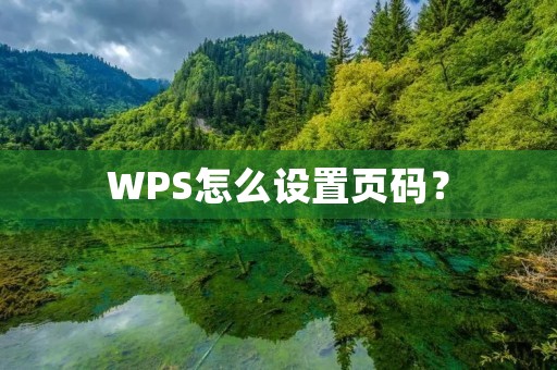 WPS怎么设置页码? WPS怎么设置页码?