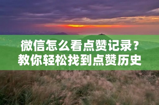 微信怎么看点赞记录?教你轻松找到点赞历史 微信怎么看点赞记录?教你轻松找到点赞历史