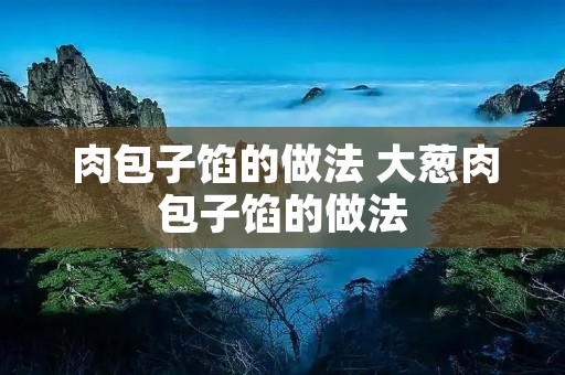 肉包子馅的做法 大葱肉包子馅的做法 肉包子馅的做法 大葱肉包子馅的做法