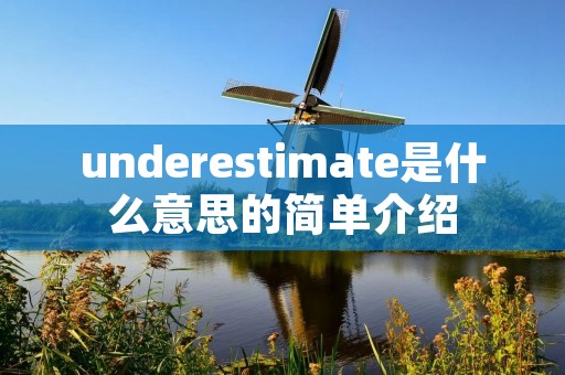 underestimate是什么意思的简单介绍