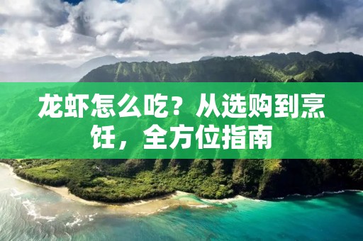 龙虾怎么吃?从选购到烹饪,全方位指南 龙虾怎么吃?从选购到烹饪,全方位指南