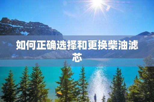 如何正确选择和更换柴油滤芯 如何正确选择和更换柴油滤芯