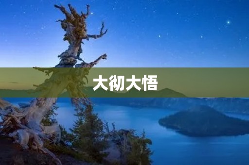 大彻大悟:悟透人生,洞悉世界 大彻大悟:悟透人生,洞悉世界