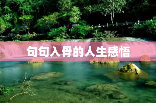 句句入骨的人生感悟 句句入骨的人生感悟