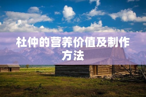 杜仲的营养价值及制作方法
