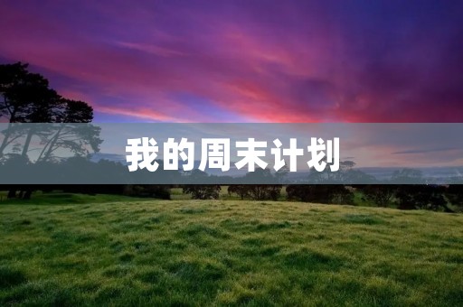 我的周末计划 我的周末计划