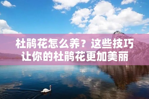 杜鹃花怎么养?这些技巧让你的杜鹃花更加美丽 杜鹃花怎么养?这些技巧让你的杜鹃花更加美丽