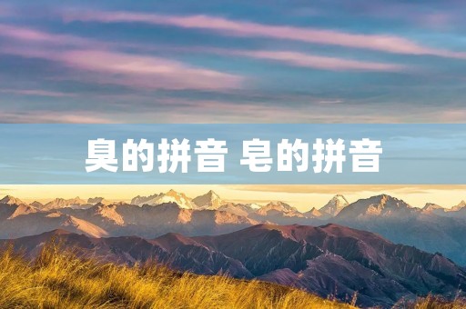 臭的拼音 皂的拼音