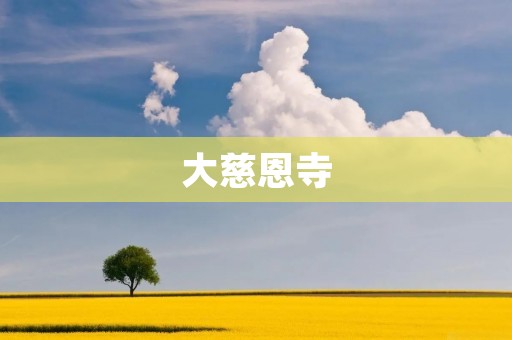 大慈恩寺：一座历史悠久的佛教圣地
