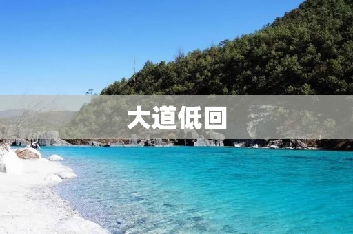 大道低回：探究自然与人类的关系