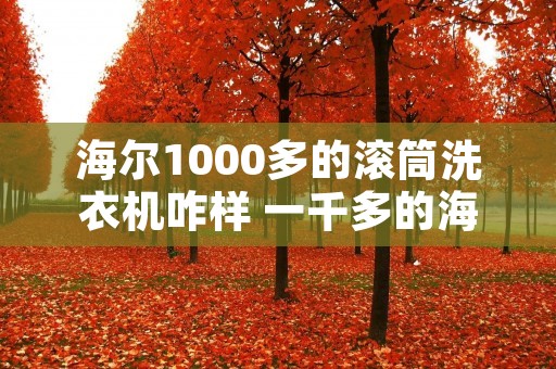 海尔1000多的滚筒洗衣机咋样 一千多的海尔滚筒洗衣机能用住吗