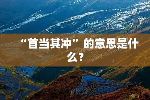 “首当其冲”的意思是什么? “首当其冲”的意思是什么?