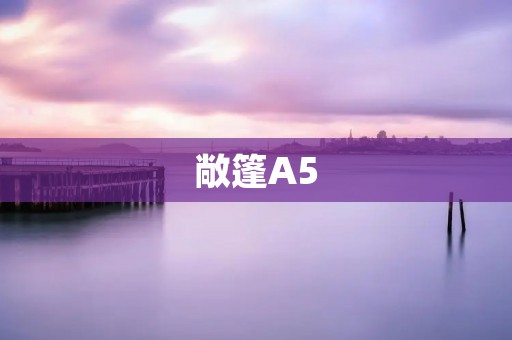 敞篷A5：豪华与**的完美结合