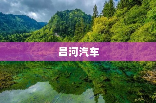 昌河汽车：中国自主品牌的领军者