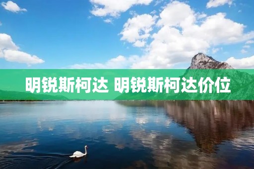 明锐斯柯达 明锐斯柯达价位