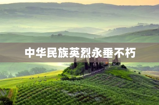 中华民族英烈永垂不朽