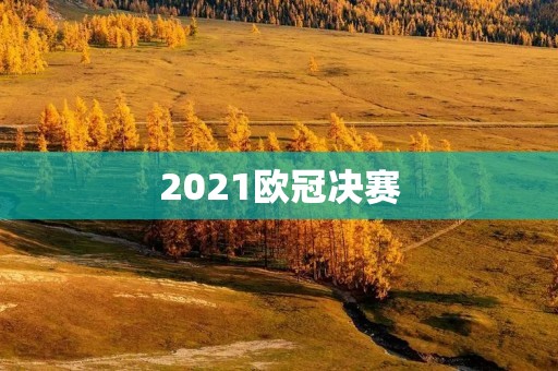 2021欧冠决赛:曼城与切尔西的较量 2021欧冠决赛:曼城与切尔西的较量