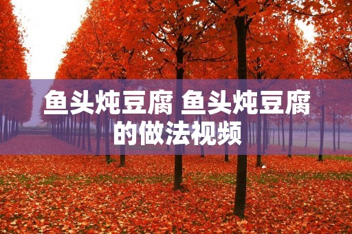 鱼头炖豆腐 鱼头炖豆腐的做法视频
