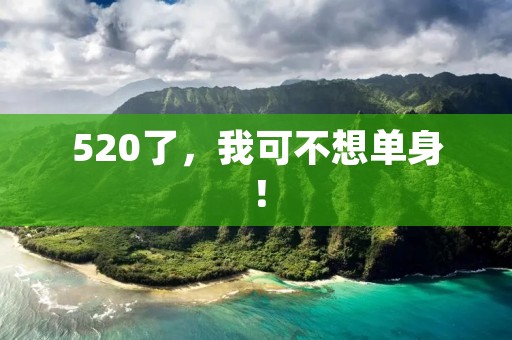 520了,我可不想单身!