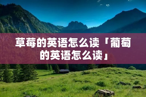 草莓的英语怎么读「葡萄的英语怎么读」
