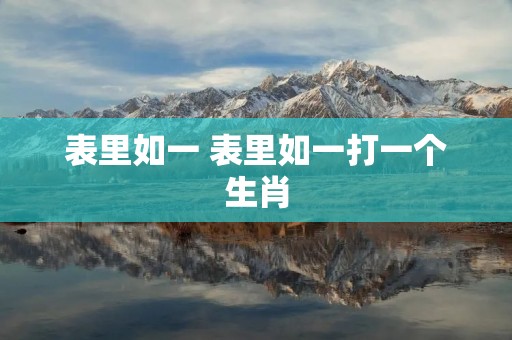 表里如一 表里如一打一个生肖
