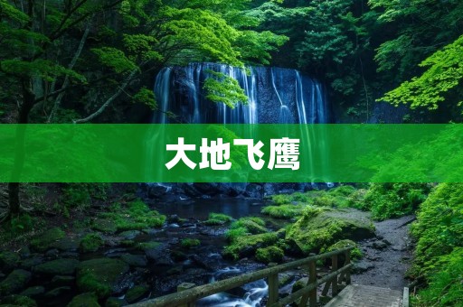 大地飞鹰:探索自然之美,领略高空之趣 大地飞鹰:探索自然之美,领略高空之趣