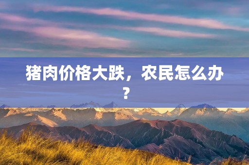猪肉价格大跌,农民怎么办?