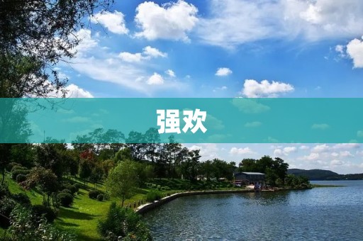 强欢:一位充满活力的年轻企业家 强欢:一位充满活力的年轻企业家