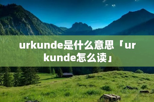 urkunde是什么意思「urkunde怎么读」