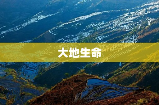大地生命:探寻大自然中的生命奥秘 大地生命:探寻大自然中的生命奥秘
