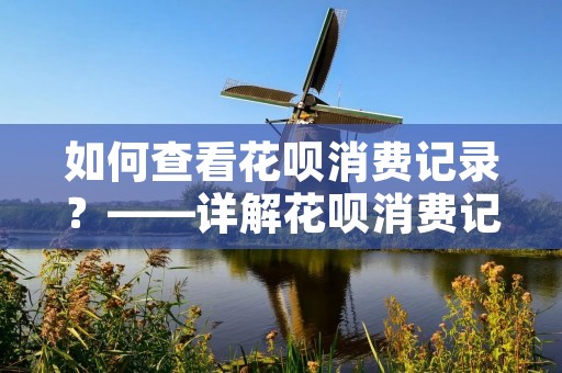 如何查看花呗消费记录?——详解花呗消费记录查询方法 如何查看花呗消费记录?——详解花呗消费记录查询方法