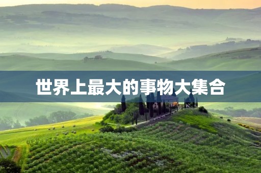 世界上最大的事物大** 世界上最大的事物大**