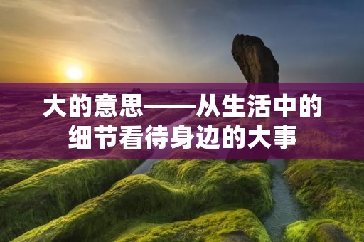 大的意思——从生活中的细节看待身边的大事