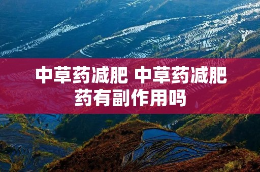中草药减肥 中草药减肥药有副作用吗