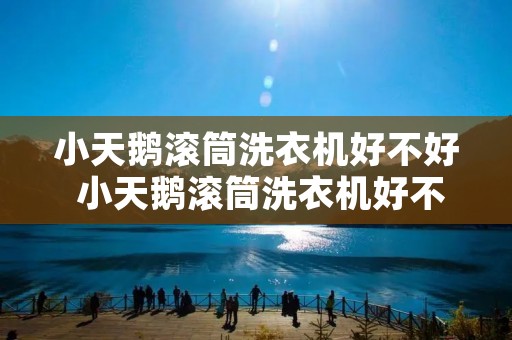 小天鹅滚筒洗衣机好不好 小天鹅滚筒洗衣机好不好用呀