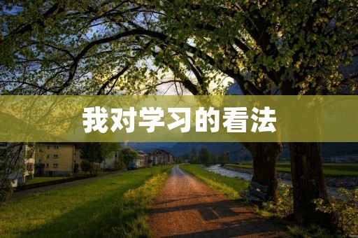 我对学习的看法 我对学习的看法