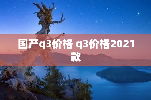 国产q3价格 q3价格2021款