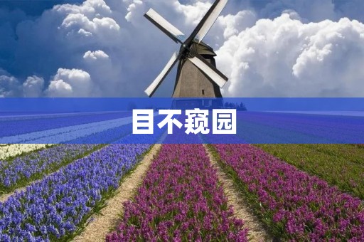目不窥园：走进中国传统园林