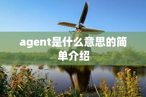 agent是什么意思的简单介绍