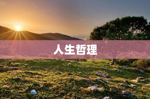人生哲理：寻找意义的旅程
