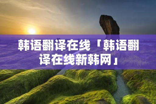 韩语翻译在线「韩语翻译在线新韩网」