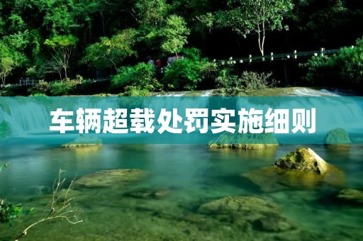 车辆超载处罚实施细则