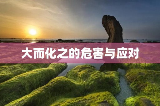 大而化之的危害与应对