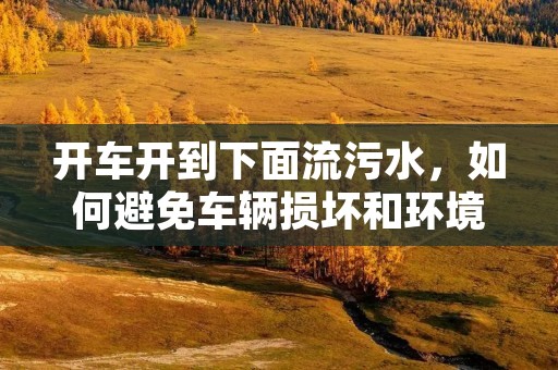 开车开到下面流污水,如何避免车辆损坏和环境污染?