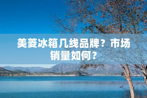 美菱冰箱几线品牌？市场销量如何？