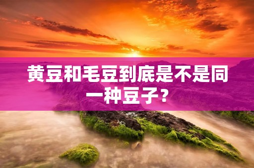 黄豆和毛豆到底是不是同一种豆子?