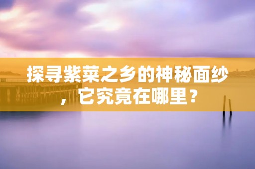 探寻紫菜之乡的神秘面纱,它究竟在哪里?