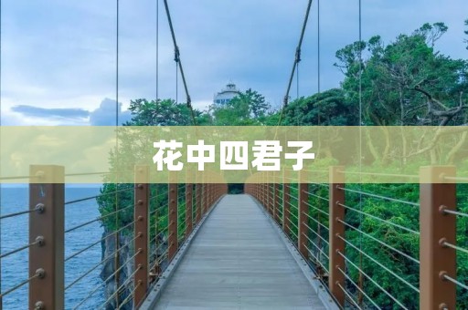 花中四君子